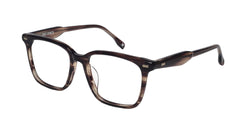 Lenox eyeglasses in Tortoise - side view